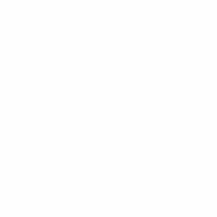 Плита кварцевая  White 1117 1400x3000 20mm