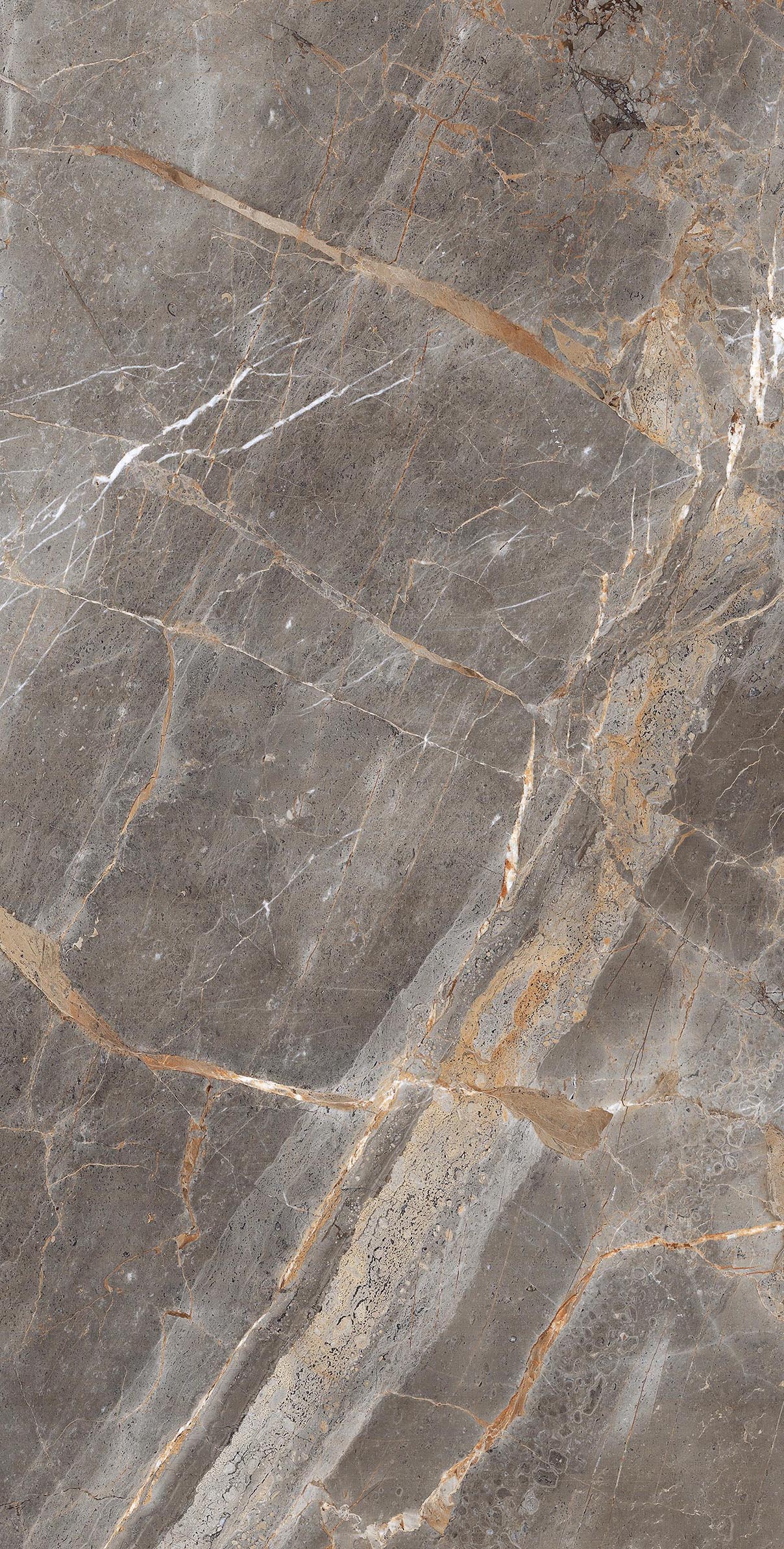 Stoinis Natural 600 x1200 Полированный Керамогранит