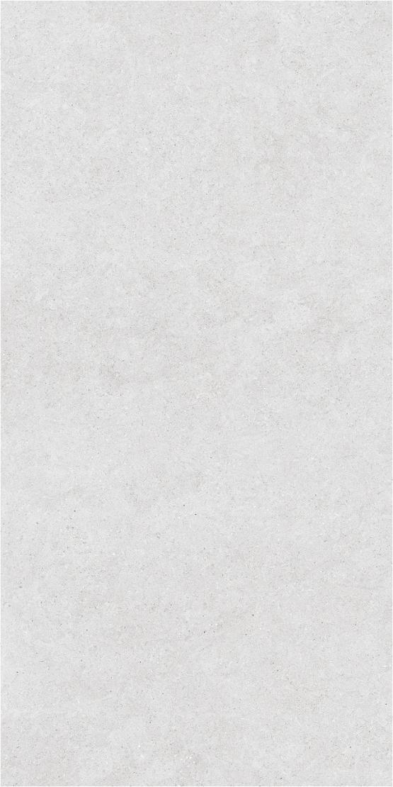 Forever Silver 600 x1200  Матовый Керамогранит  