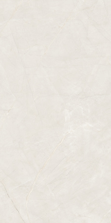  Royal Grey DM 600 x1200 Матовый Керамогранит