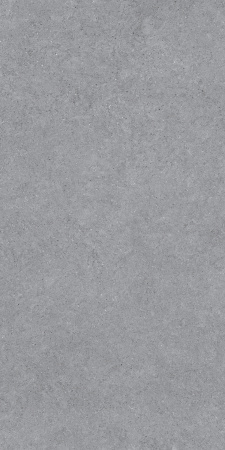 Forever Gris 600 x1200 Матовый Керамогранит 