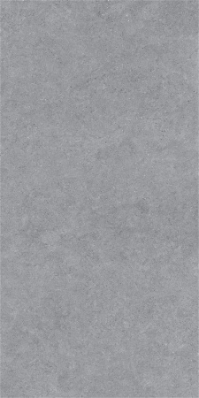 Forever Gris 600 x1200 Матовый Керамогранит 
