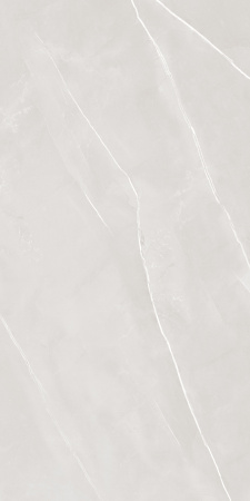 WILLIAM BIANCO 600 x1200 Матовый Керамогранит